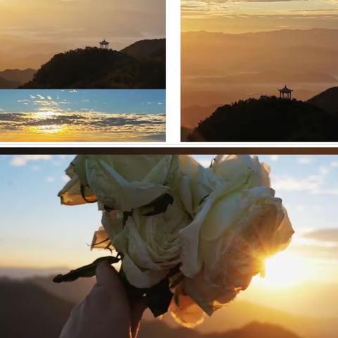 2139班💐｜｜记回龙山—游记佳作