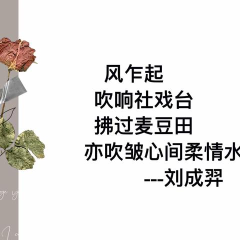 2139班｜作诗否？💐诗味浓