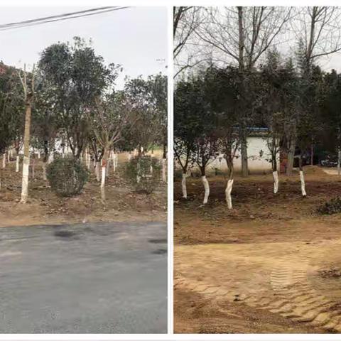 “变废为宝”，农村秒变“美丽花园”