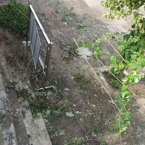 东竹昌小学防汛工作进行时……