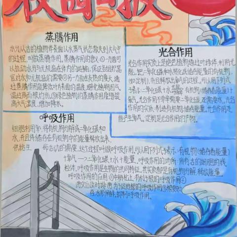 生物特色作业，点亮寒假生活