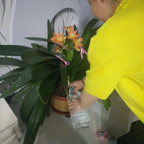 家庭小孝心（副本）