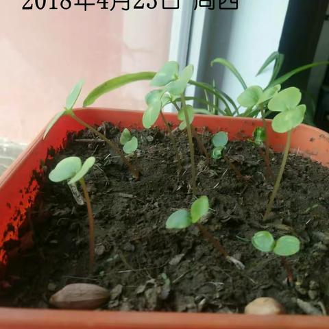 2018年6月作业展示