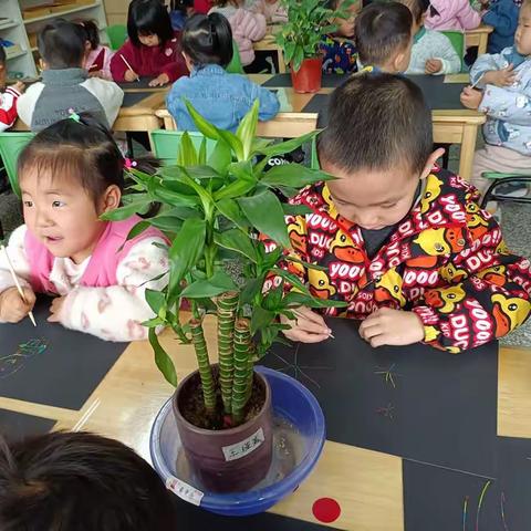 幼专附属幼儿园小二班——春天的礼物