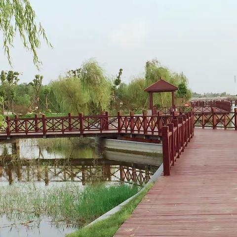 又来黄冈师院