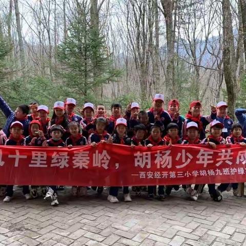 优品托管“秦岭之巅·扮靓春天”