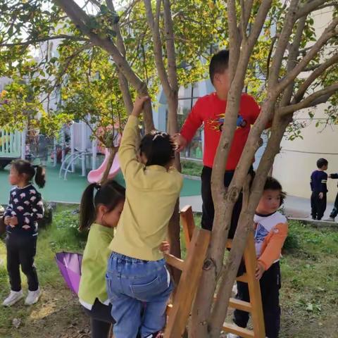 桂花树下的“图式”游戏