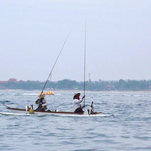 对分式构图～第2周第4天打卡