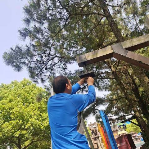 发现不一样的美     五（5）班  肖梓皓