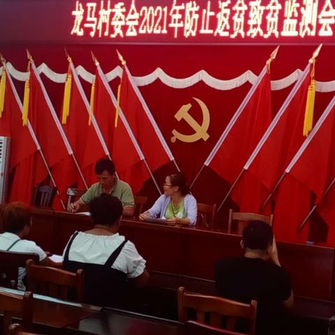 龙马村委会防止返贫致贫监测和帮扶集中排查工作会审会