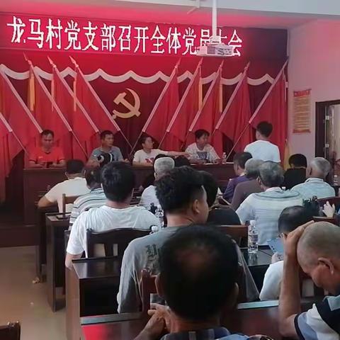 龙马村党支部召开全体党员大会