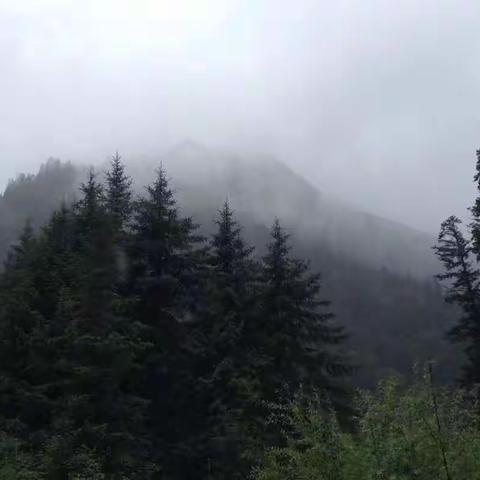 九寨沟（9）原始森林