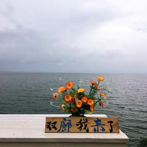 重游大理（5）：骑行游洱海