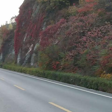 骑游避暑山庄。