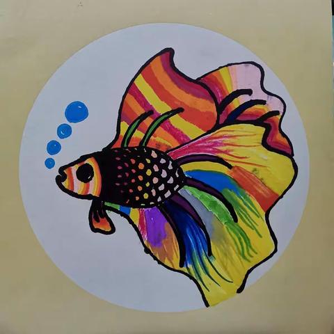 泰国斗鱼了解下噢