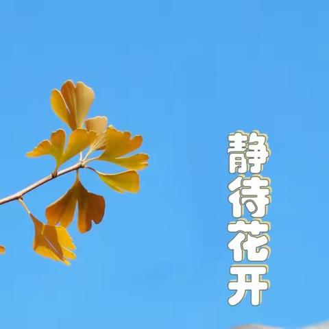 时光深处待花开优质课堂展风采刘家峡中学开展基于“双减”下的优质课竞赛