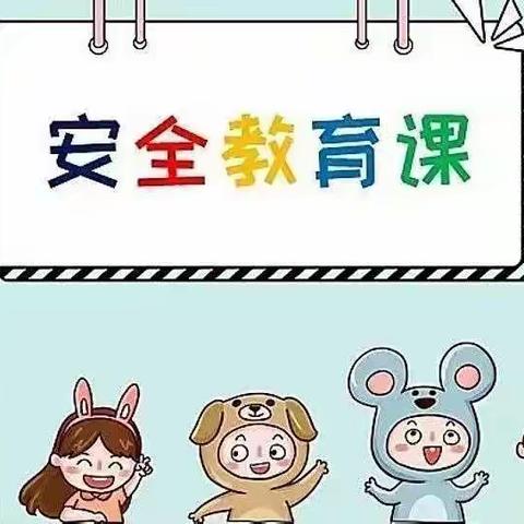 安全同行，快乐成长                        --宝华幼儿园安全系列活动