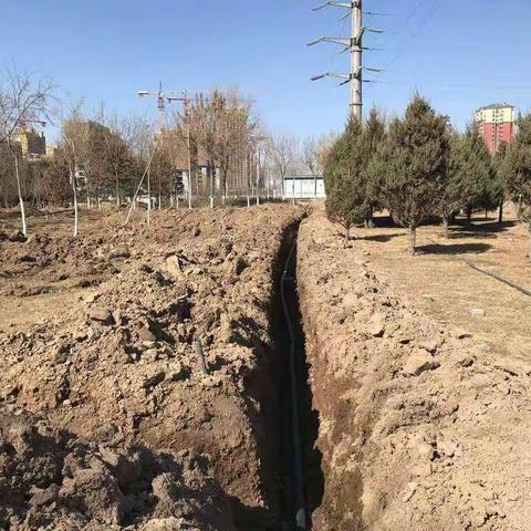 银川市绿化二处精细化养护管理工作正在进行