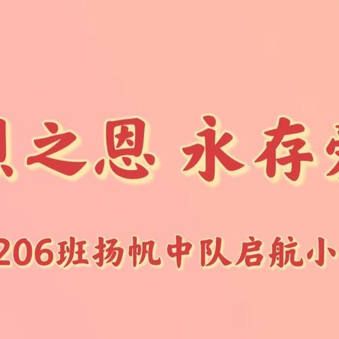 感念英烈之恩 永存爱国之心——遂昌县实验小学206班扬帆中队启航小队寒假实践活动