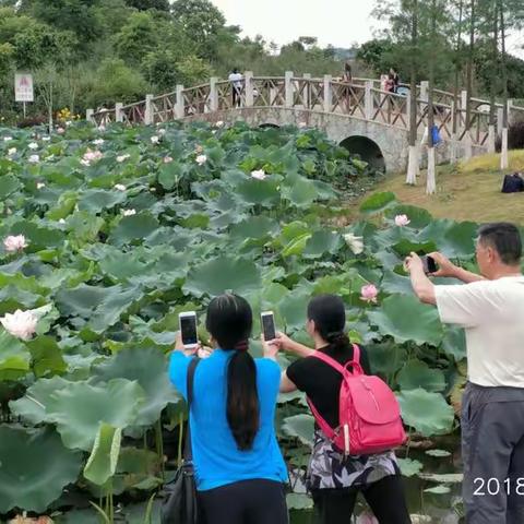 老年大学智能手机班户外课 （20180702）