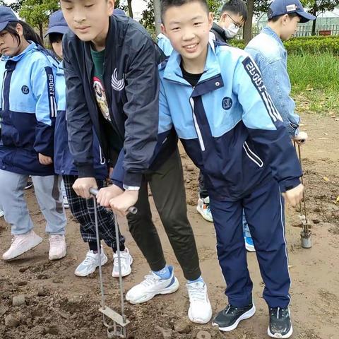 可口可爱的美篇