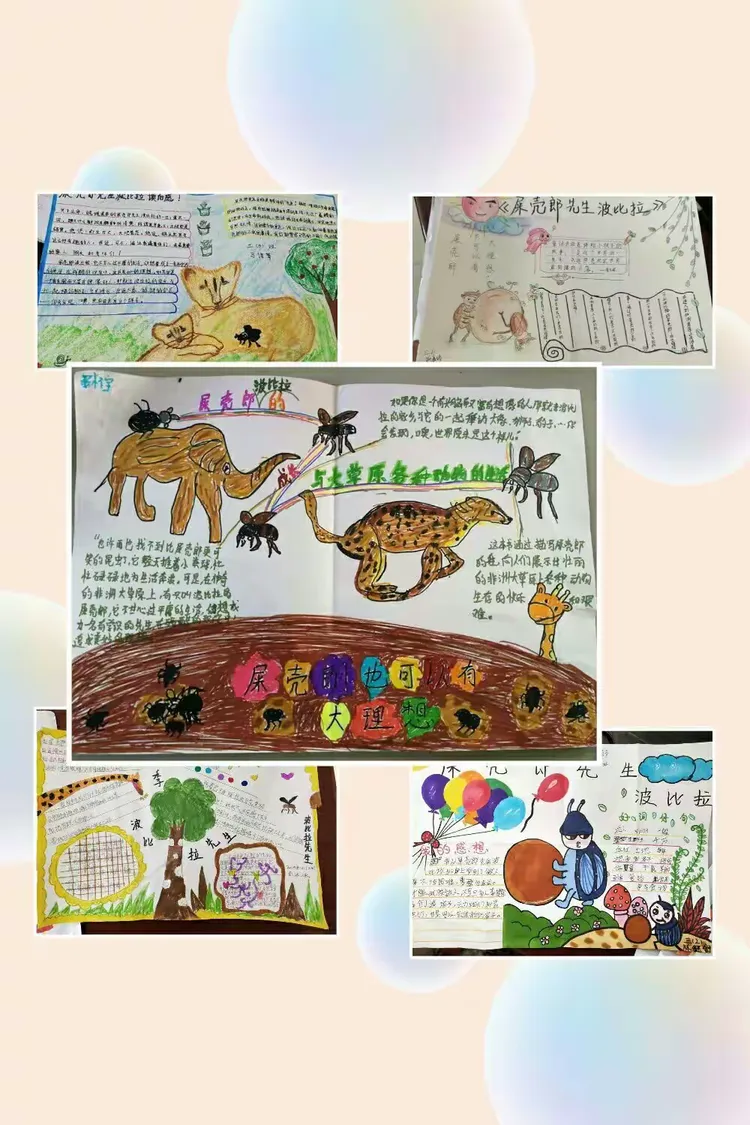 《屎壳郎先生波比拉》活动,并要求每一位学生根据书本内容做了手抄报!