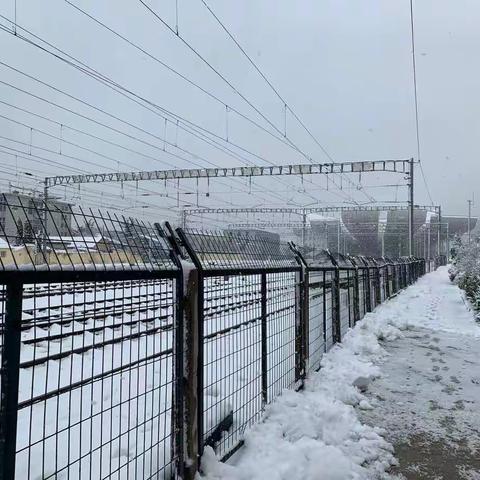 兔年初雪烟台站干部职工除雪保畅通