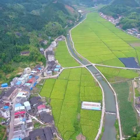 这里风景独好，让我们走进源湖溪