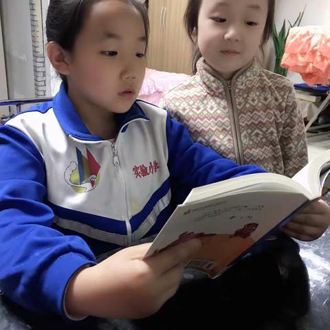 科区实验小学三年十班 李妍琦读《草房子》有感