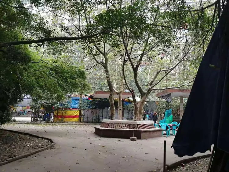 今天的沙龙公园,万州人的沙龙公园,满满的记忆.期待一年半后更亮丽