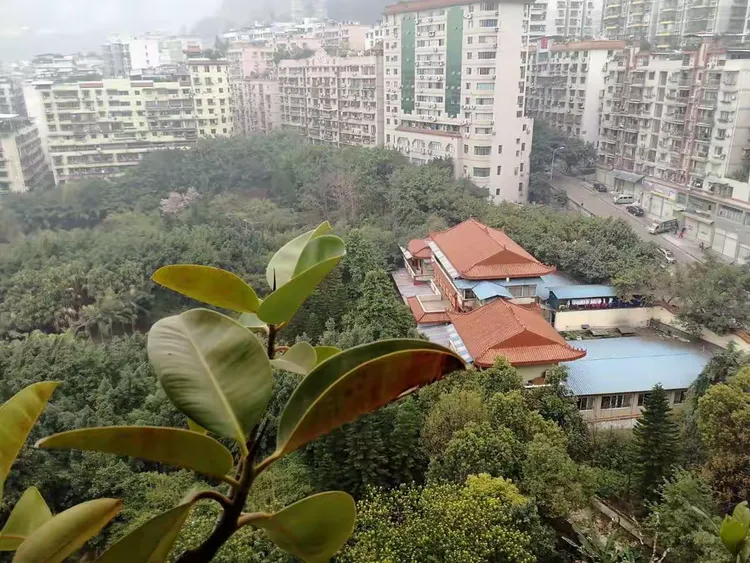 今天的沙龙公园,万州人的沙龙公园,满满的记忆.期待一年半后更亮丽