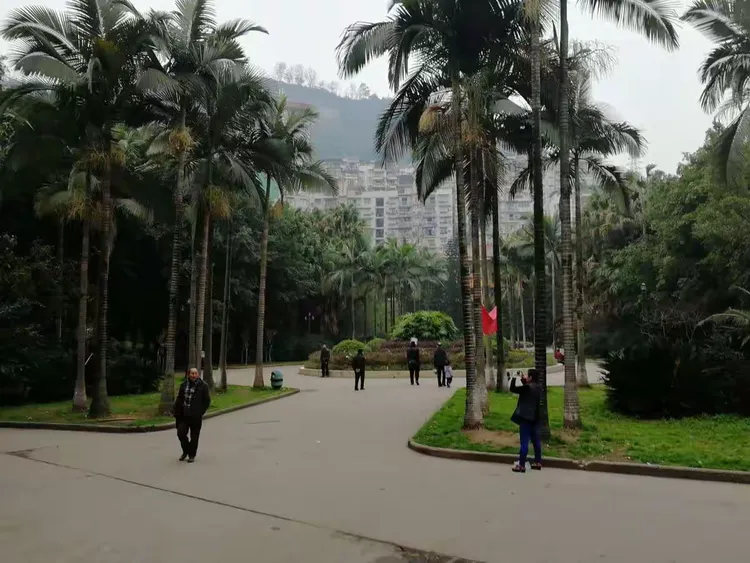 今天的沙龙公园,万州人的沙龙公园,满满的记忆.期待一年半后更亮丽