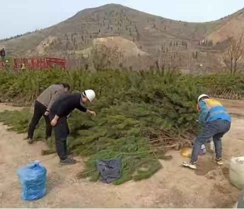贯彻落实县委报告、助力生态渑池建设——会盟公司学习贯彻落实县委党代会精神之四