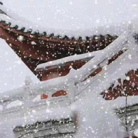 今朝逢大雪，人道兆丰年