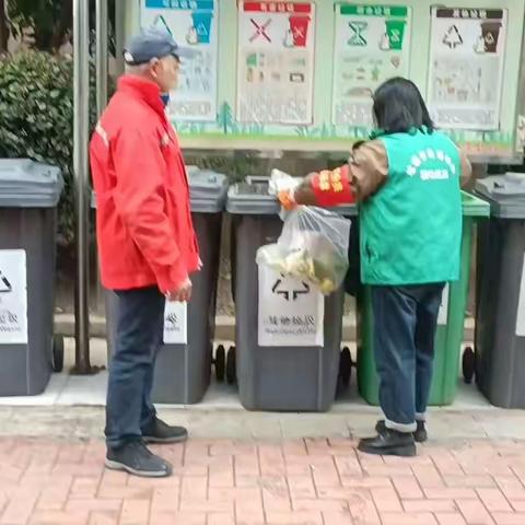分类知识传播，环境环保行动：《桶边督导员的使命》