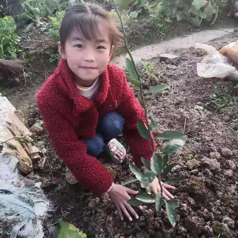 紫罗桥小学葵花中队植树活动