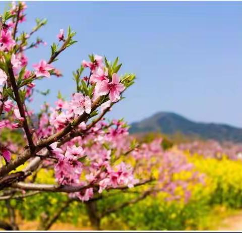 新版眼保健操暨传染病防治的培训——唐山市路北区七十七号小学