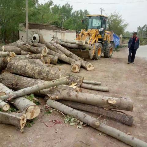 永登县铁路沿线环境整治取得阶段性明显成果