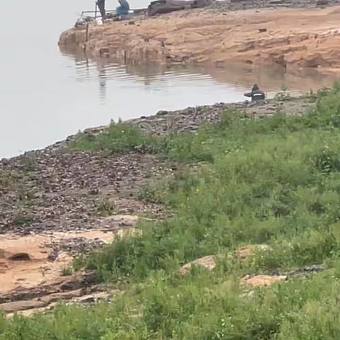 左公故里 湘江河畔 手机随拍 即景诗词 七绝三首