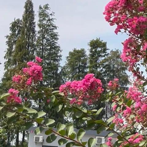 七绝三首 乡村美篇