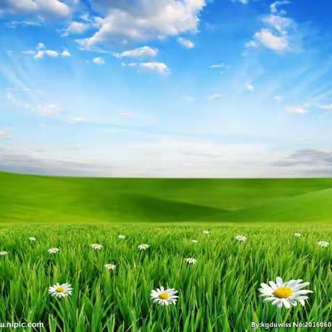 扎实教研   共同成长