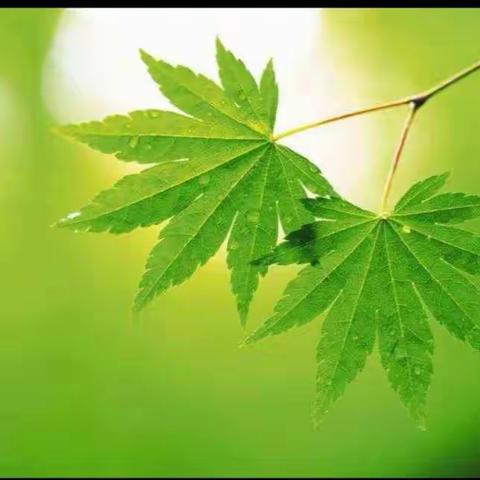 扎实教研  共同成长