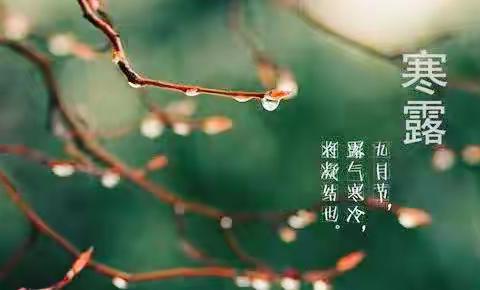 “秋水长寒露 萌娃知时节”——同心县新区幼儿园二十四节气之“寒露”节气主题系列活动