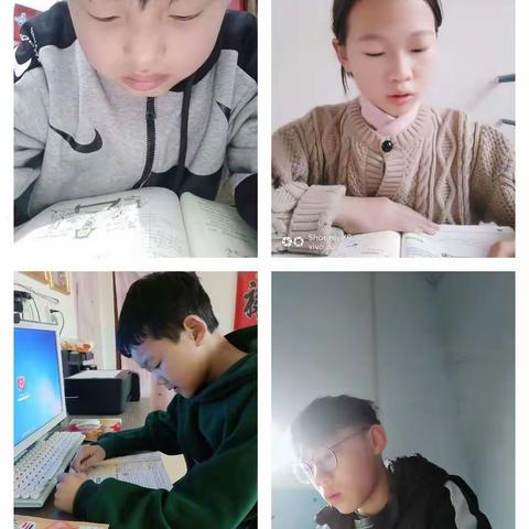 不负春光不负“学”，“疫”路向前待花开——六二班网课教学总结