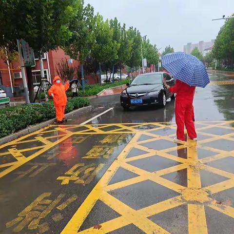 雨中的“护卫者”