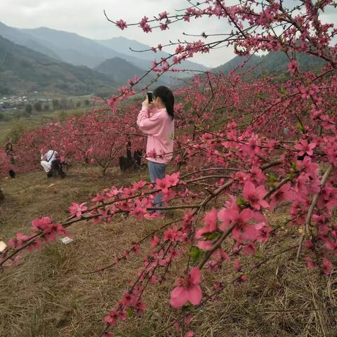 三月踏春忙，人在画中游。