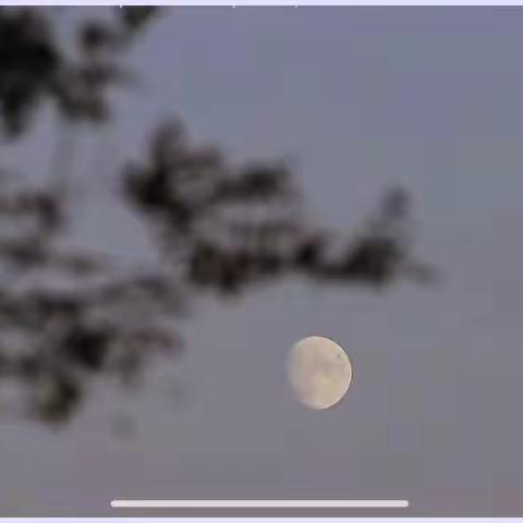 教师中秋特辑│月圆云团圆  教师情温暖