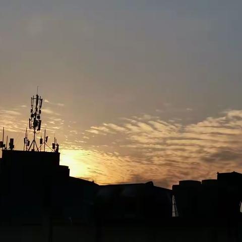 688   阳康.病中杂吟（16首）