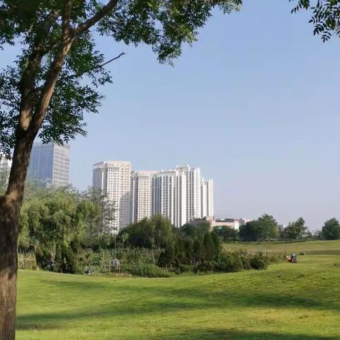 684 我们赞美一切美好