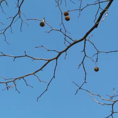 689  天空是这样的蔚蓝